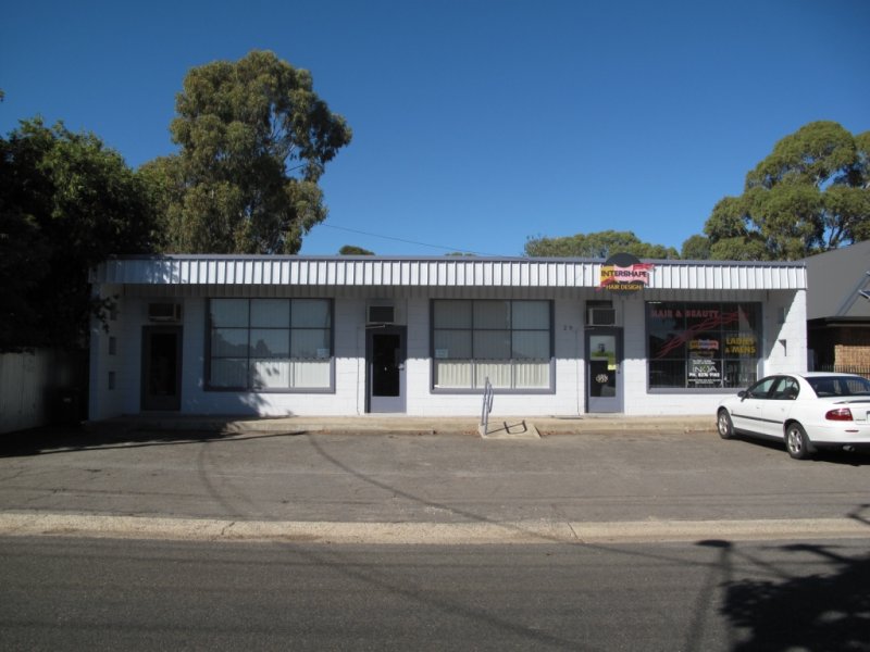 29 Quinlan Avenue, St Marys, SA 5042