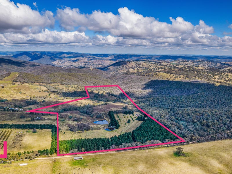 499 Razorback Road, Running Stream, NSW 2850