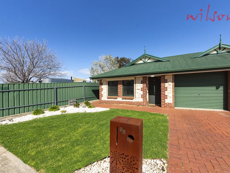 22 Allison Street, Ascot Park, SA