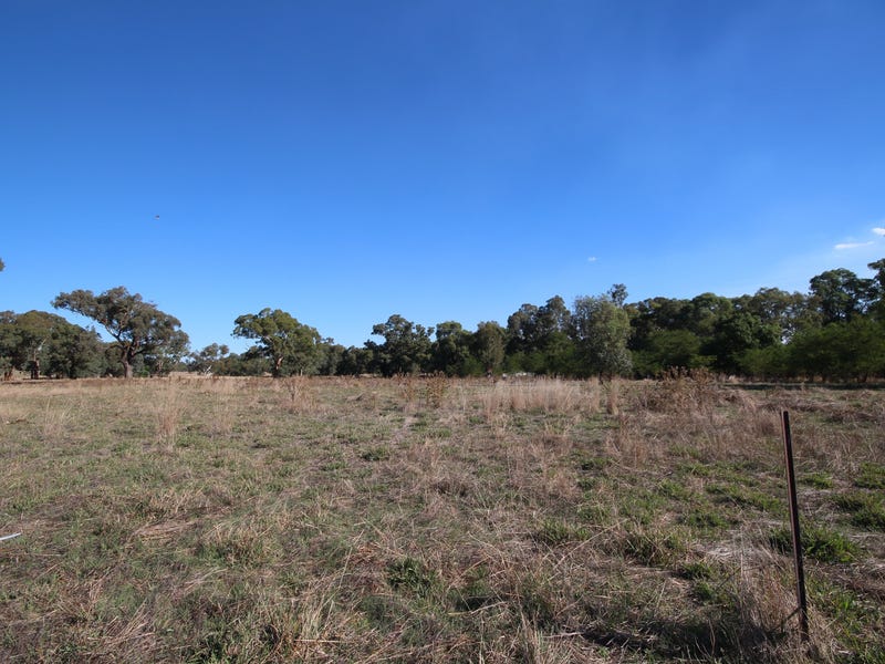 3005 Sturt Highway, Alfredtown, NSW 2650 - realestate.com.au