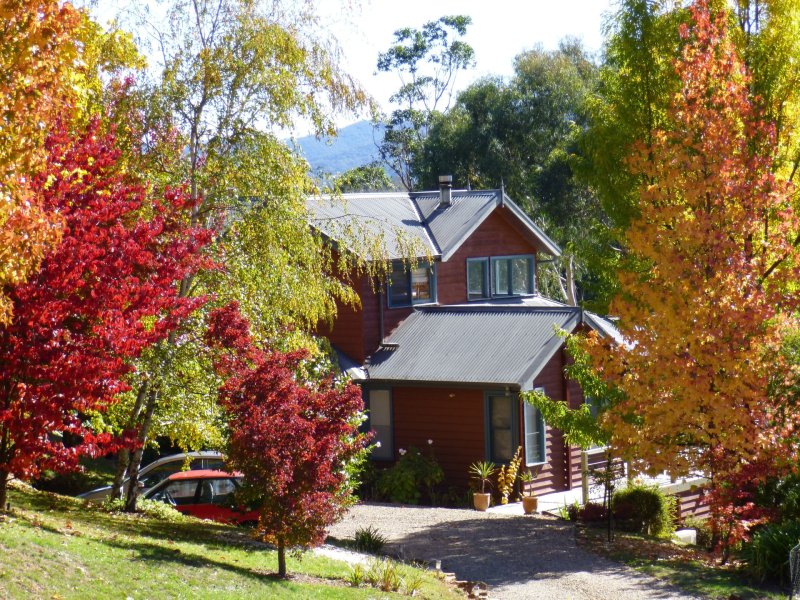 4 Cindy Court, Bright, Vic 3741 Property Details