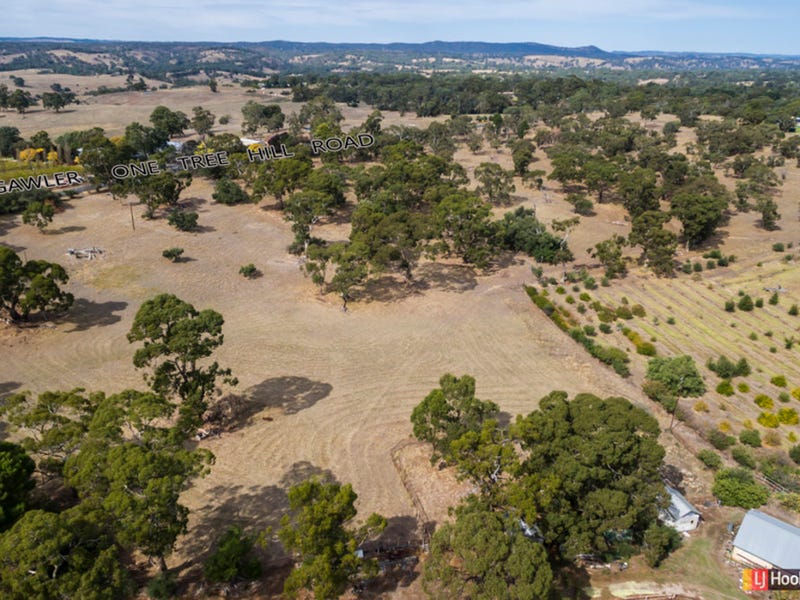 1054 Gawlerone Tree Hill Road, Uleybury, SA 5114
