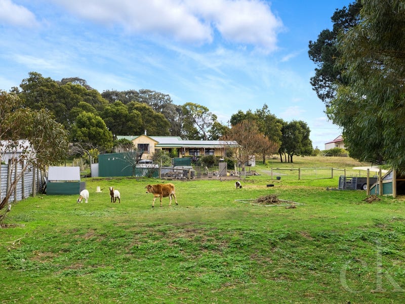 19 Carney Street, Mount Egerton, VIC 3352