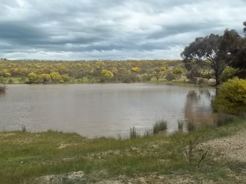 Lot 1 Wychitella Road, Wedderburn, Vic 3518 Property Details