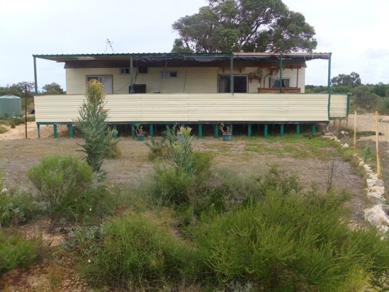 311 Tamarisk Drive, Gabbadah, WA 6041 Property Details