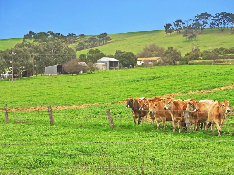 675 Pages Flat Road, Myponga, SA 5202