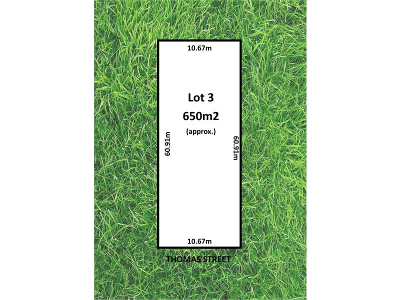 38 Arthur Street, Seacliff Park, SA 5049