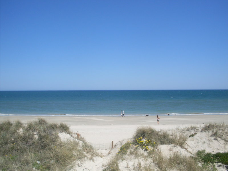 2/149 Esplanade, Henley Beach South, SA 5022