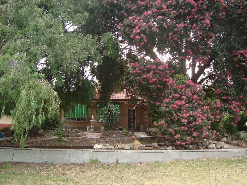 10 Ellen Street, Tea Tree Gully, SA 5091