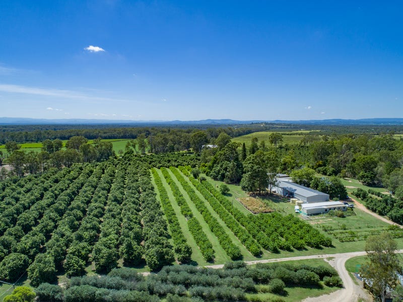 1411 Gatton Esk Road, Spring Creek, QLD 4343