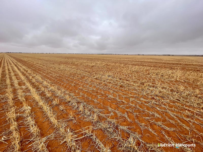 1662 Morawa Yalgoo Road, Morawa, WA 6623 Cropping for Sale