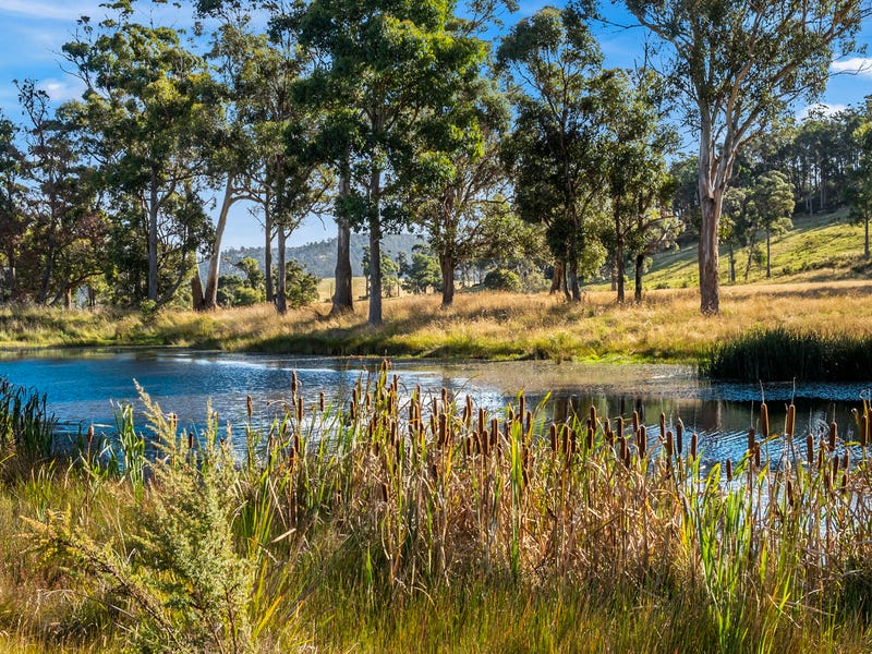 Land for Sale in TAS