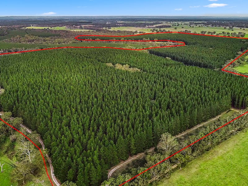 1 Scotts Creek Rd, Dartmoor, Vic 3304 Other for Sale