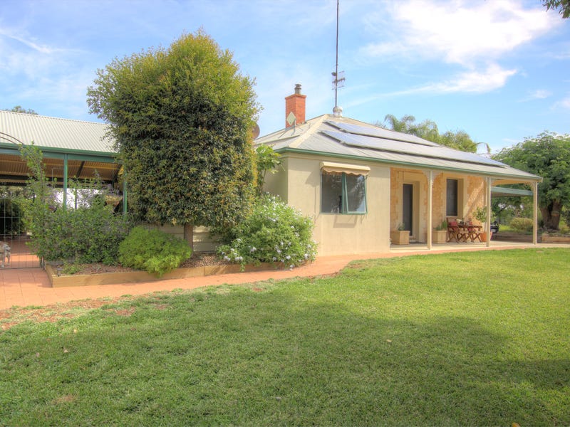 42 Watkins Road, Waikerie, SA 5330 Property Details