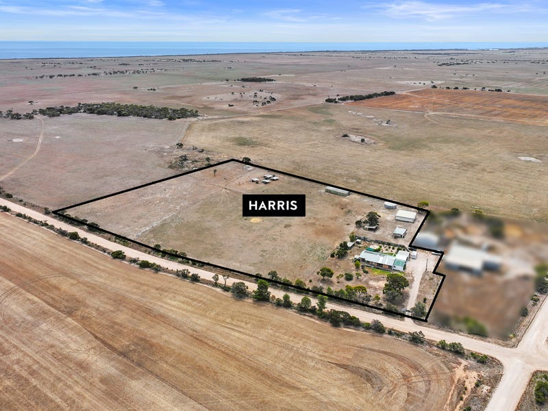 334 Minlacowie Road, Minlaton, SA 5575 House for Sale