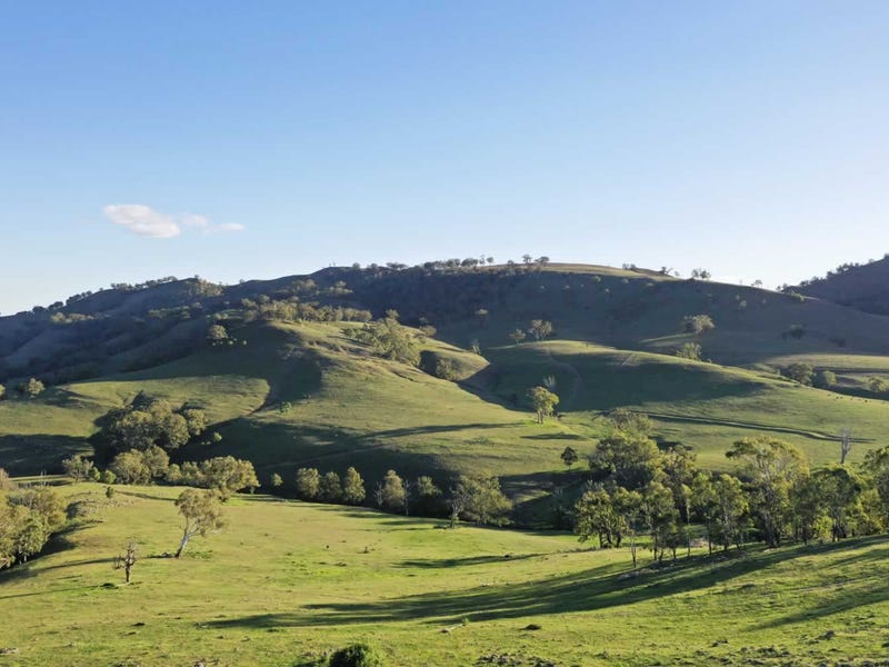 Rural properties for Sale in Murrurundi, NSW 2338