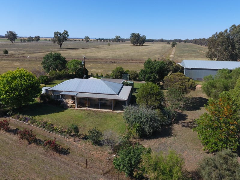 348 New Grenfell Road, Forbes, NSW 2871