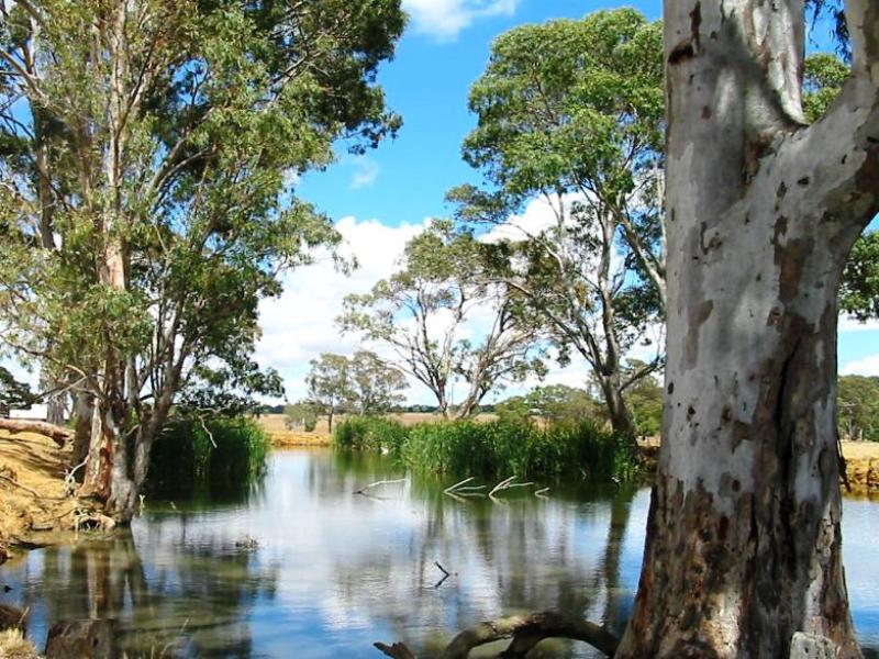 Lt100 Battunga Road, Meadows, SA 5201 Property Details