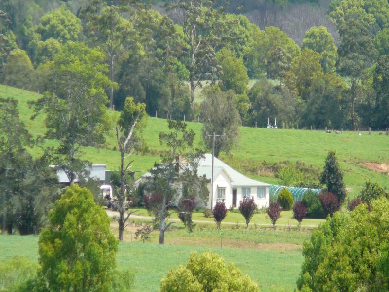 Property 7229728, Lorne, NSW 2439 Property Details