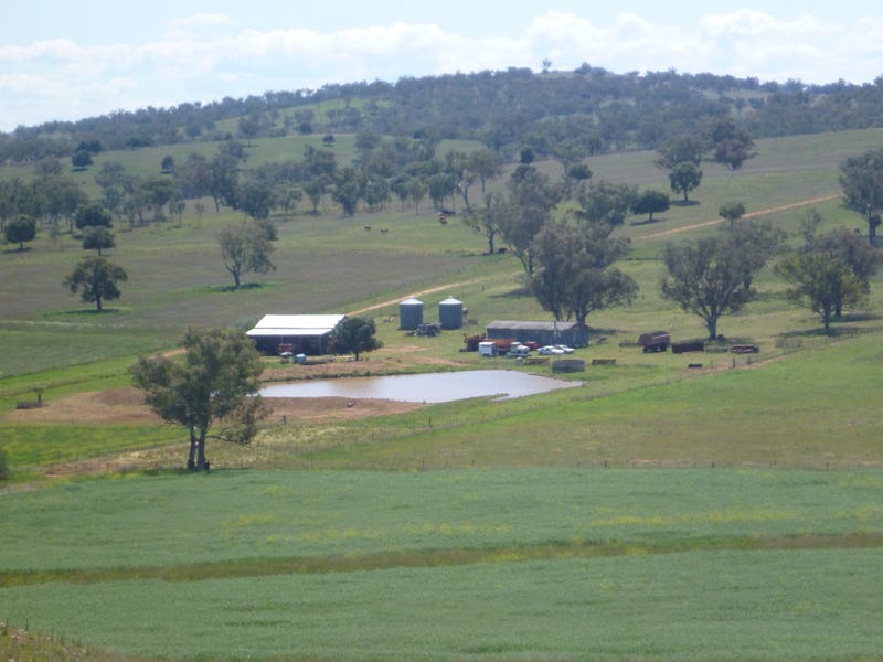 1421 Lower Somerton Road, Somerton, NSW 2340