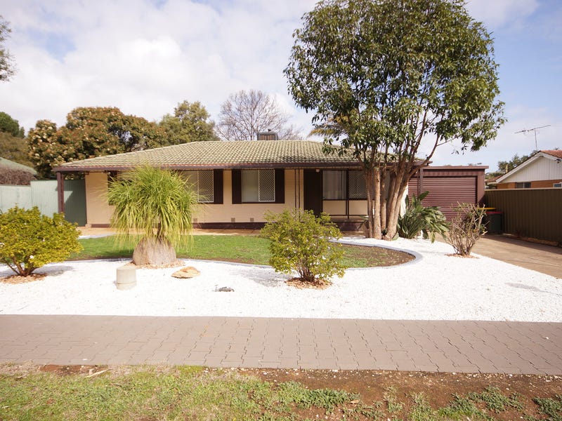 10 Drage Street, Elizabeth Downs, SA 5113