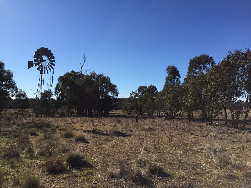 1654 Spring Ridge Road, Dunedoo, NSW 2844