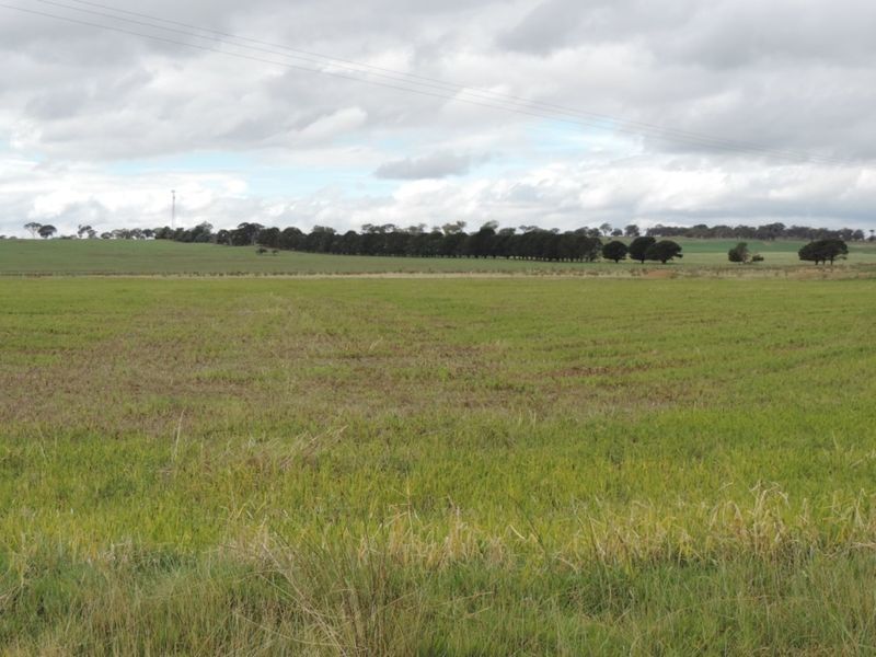 19896 Hume Highway, Goulburn, NSW 2580 Property Details