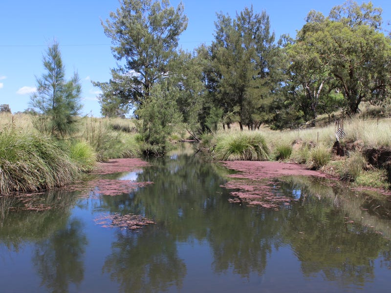 243 Back Creek Road, Back Creek, NSW 2390