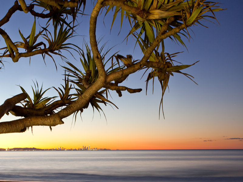 346 / 99 Griffith Street 'Calypso', Coolangatta, Qld 4225 Property