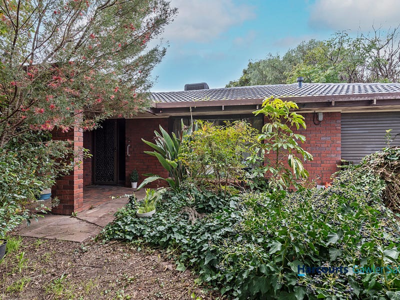 21 Plover Avenue, Modbury Heights, SA 5092