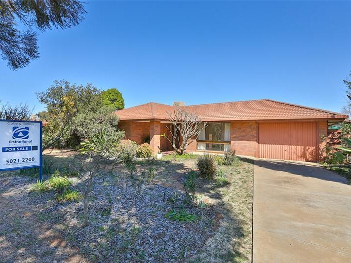 6 Wilkie Drive, Irymple, VIC 3498