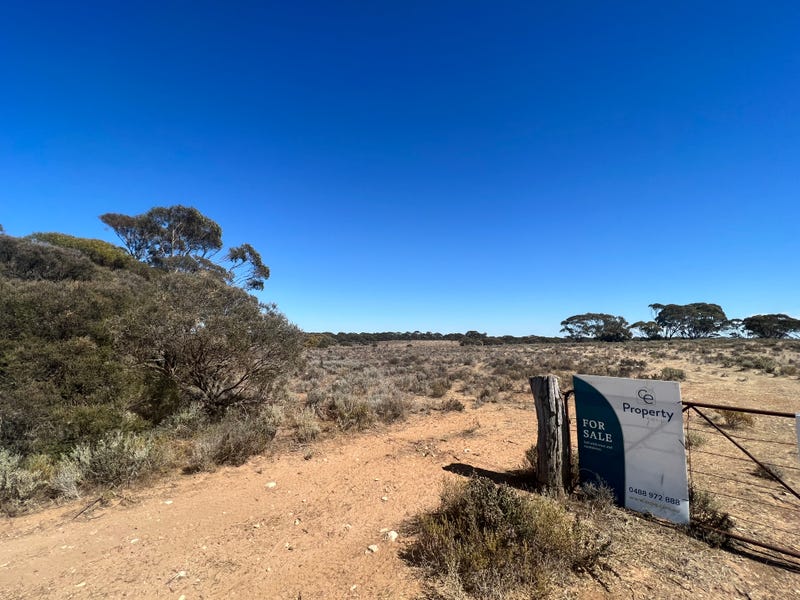 Real Estate for Sale in SA Pg. 3