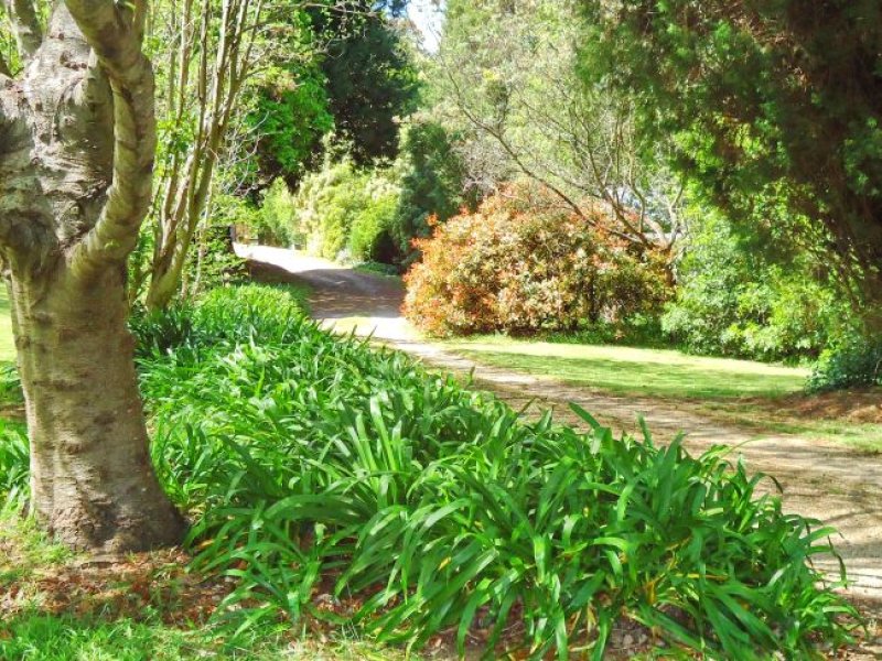 22 Carlisle Street, Bowral, NSW 2576 Property Details