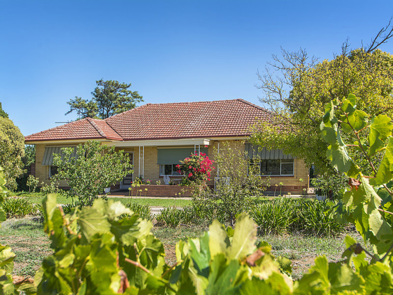 56A Barossa Valley Way, Tanunda, SA 5352 Property Details