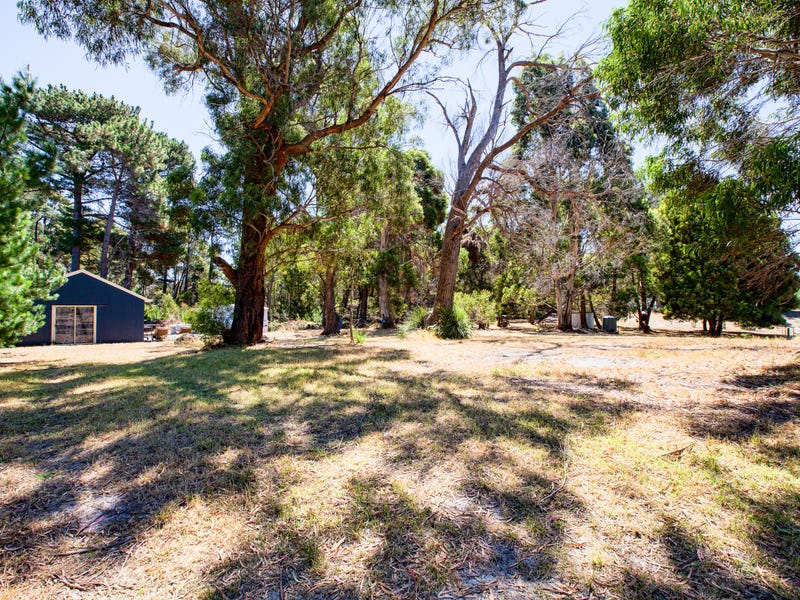 99 White Beach Road, White Beach, TAS 7184