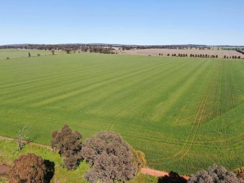 Real Estate & Property for Sale in NSW 2665