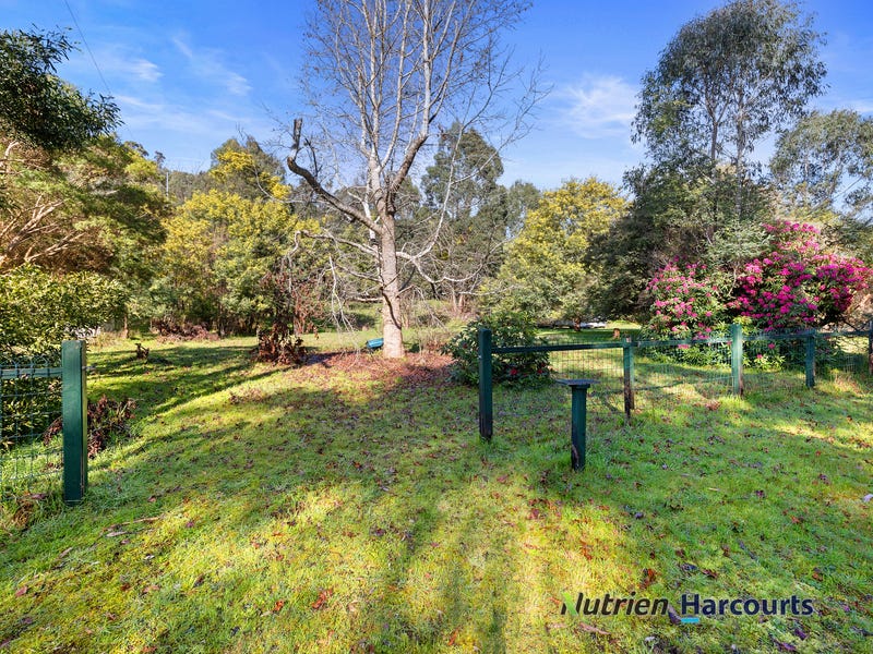 81 Silver Creek Road, Flowerdale, Vic 3717 Residential Land for Sale