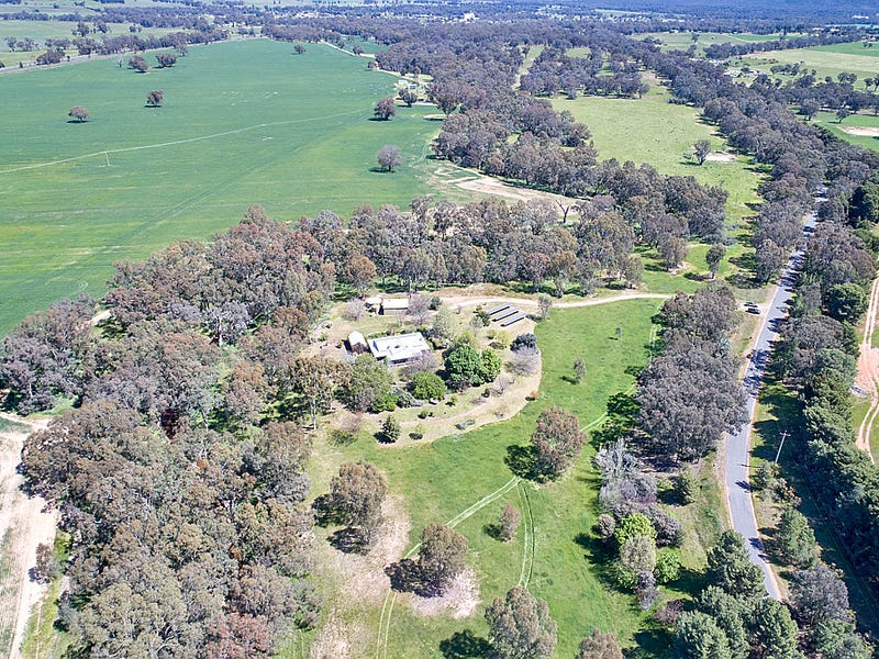240 Old Trunk Road, The Rock, NSW 2655