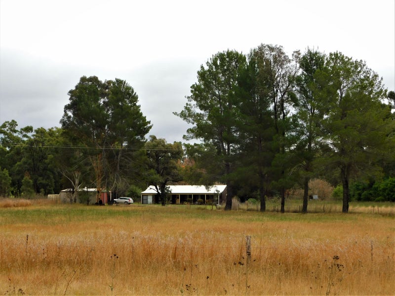 590 Timor Road, Coonabarabran, NSW 2357 Property Details