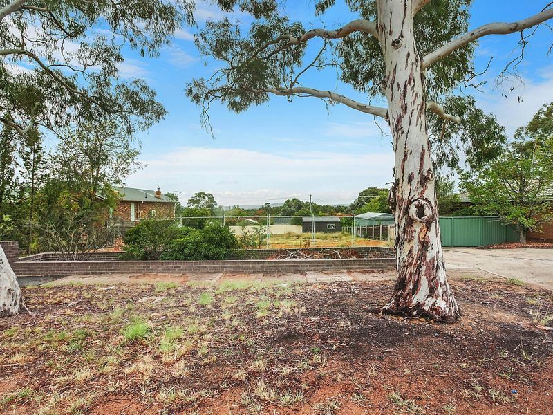51 Springvale Drive, Weetangera, ACT 2614