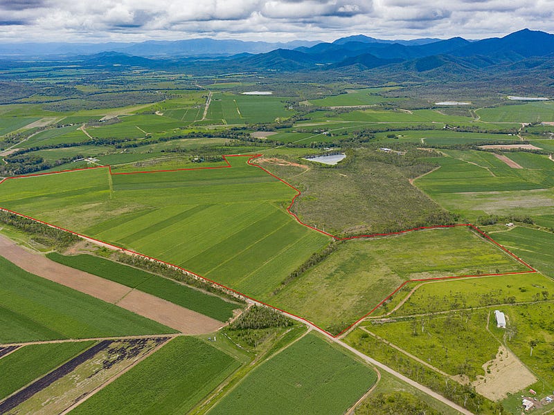 1185 Kelsey Creek Road, Kelsey Creek, Qld 4800