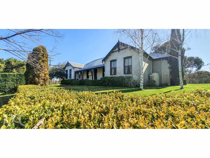 'RedHill' 521 Belgravia Road, Orange, NSW 2800 Livestock for Sale