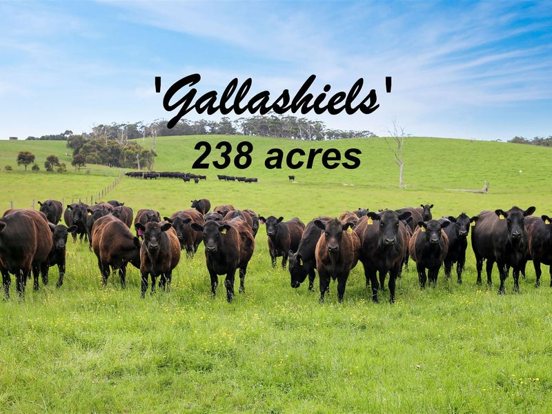 230 BuffaloStony Creek Road, Buffalo, Vic 3958 Property Details