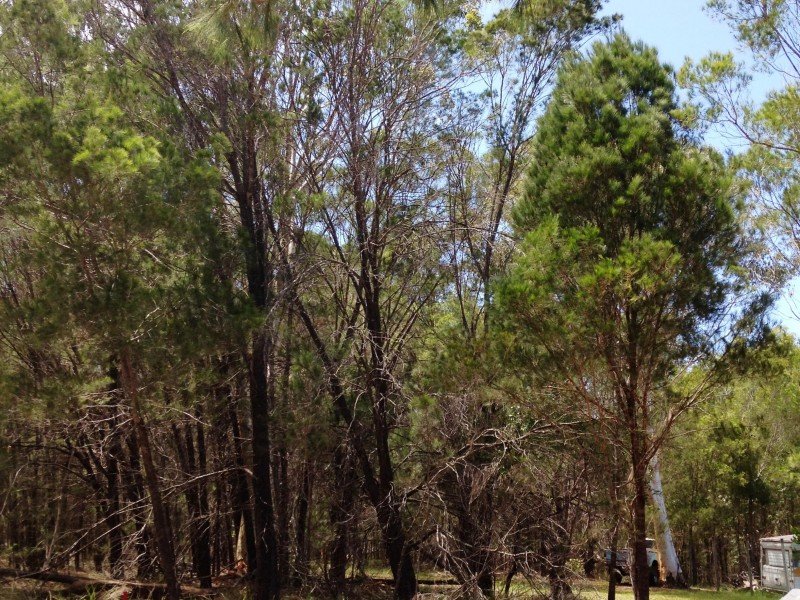 Sold Property Prices & Auction Results in Russell Island, QLD 4184 (+1