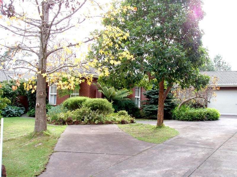 37 Daffodil Road, Boronia, VIC 3155