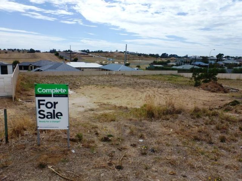 Mayflower Motherwell Opening Times Best Flower Site