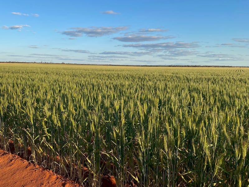 Property 700165086, Beacon, WA 6472 Property Details