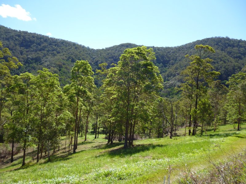 121 Ladies Road, Samsonvale, Qld 4520