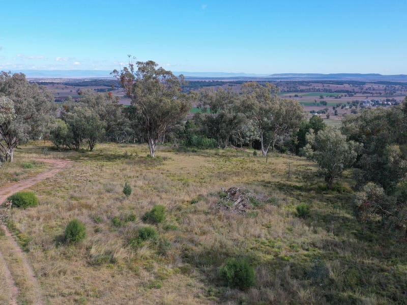 73 Ray Carter Drive, Quirindi, NSW 2343 Lifestyle for Sale