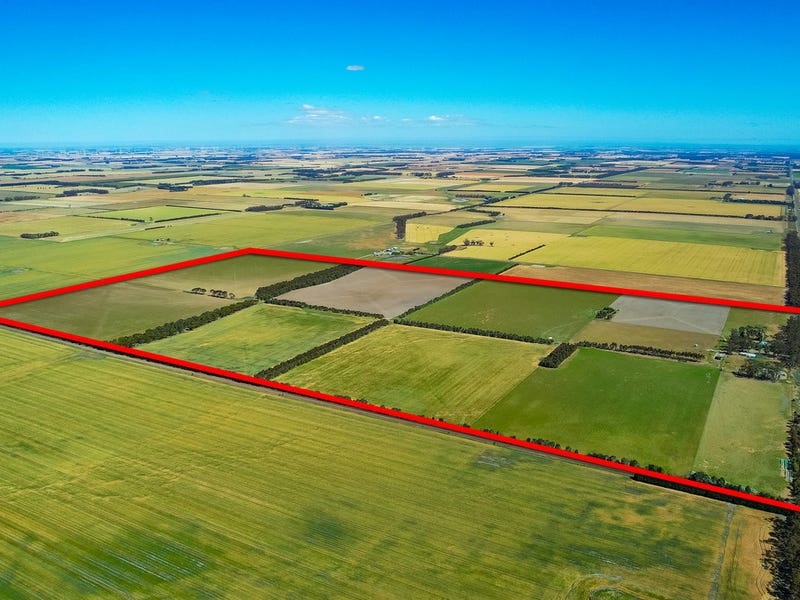 1834 Lismore-Skipton Road, Bradvale, Vic 3361 - Cropping for Sale ...